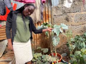 Cramped quarters: Irene in her kitchen garden