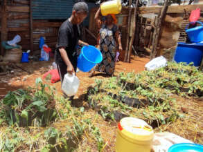 Rich organic produce from a cone garden!