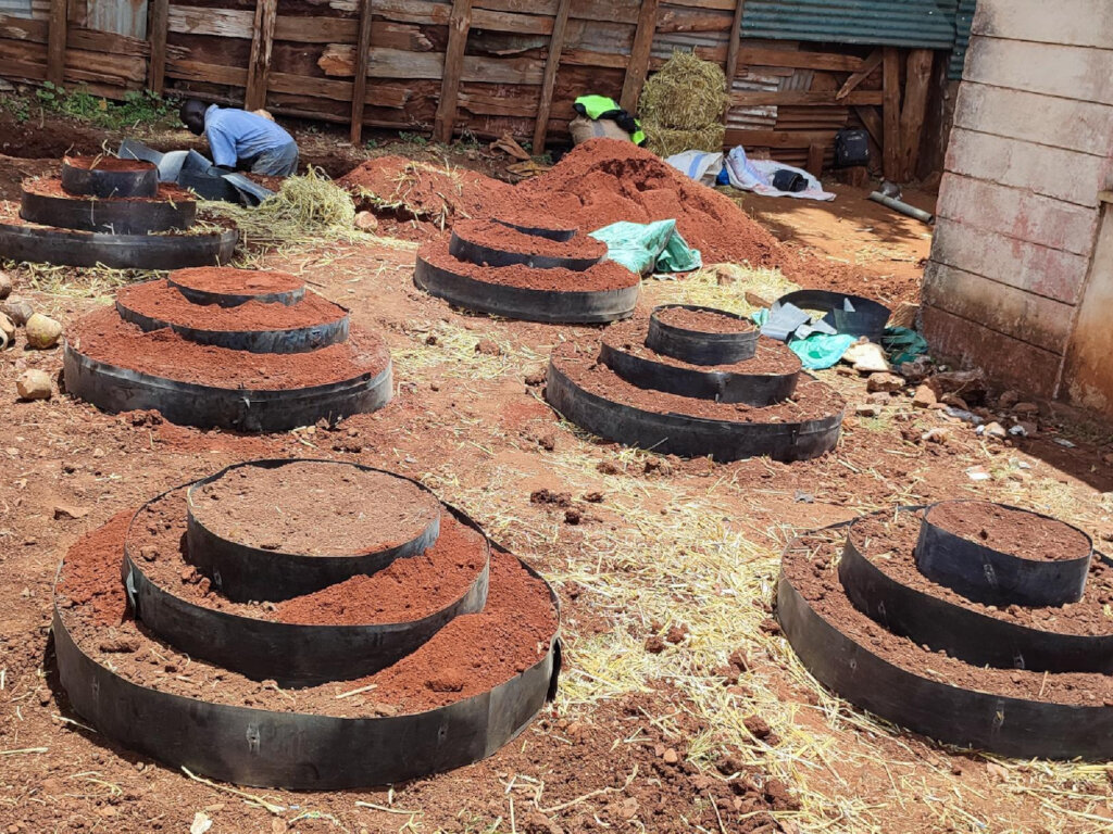 Finished cone garden at the Perijang school