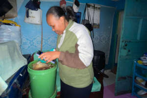 Composter - Feeding worms in the apartment