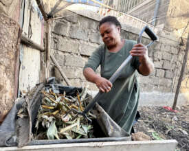 Violet at work on her dry compost "hub" in Nairobi