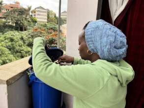 Composting on the balcony