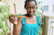 Support Composting by Women in Kibera, Kenya