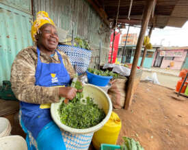 Street vendors give waste to 10 composting hubs