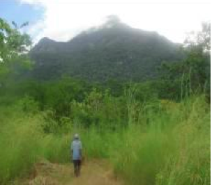 Kaeco group forest borders Kanga FR
