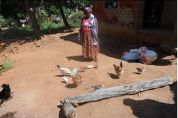 VSLA member used loan for Livestock