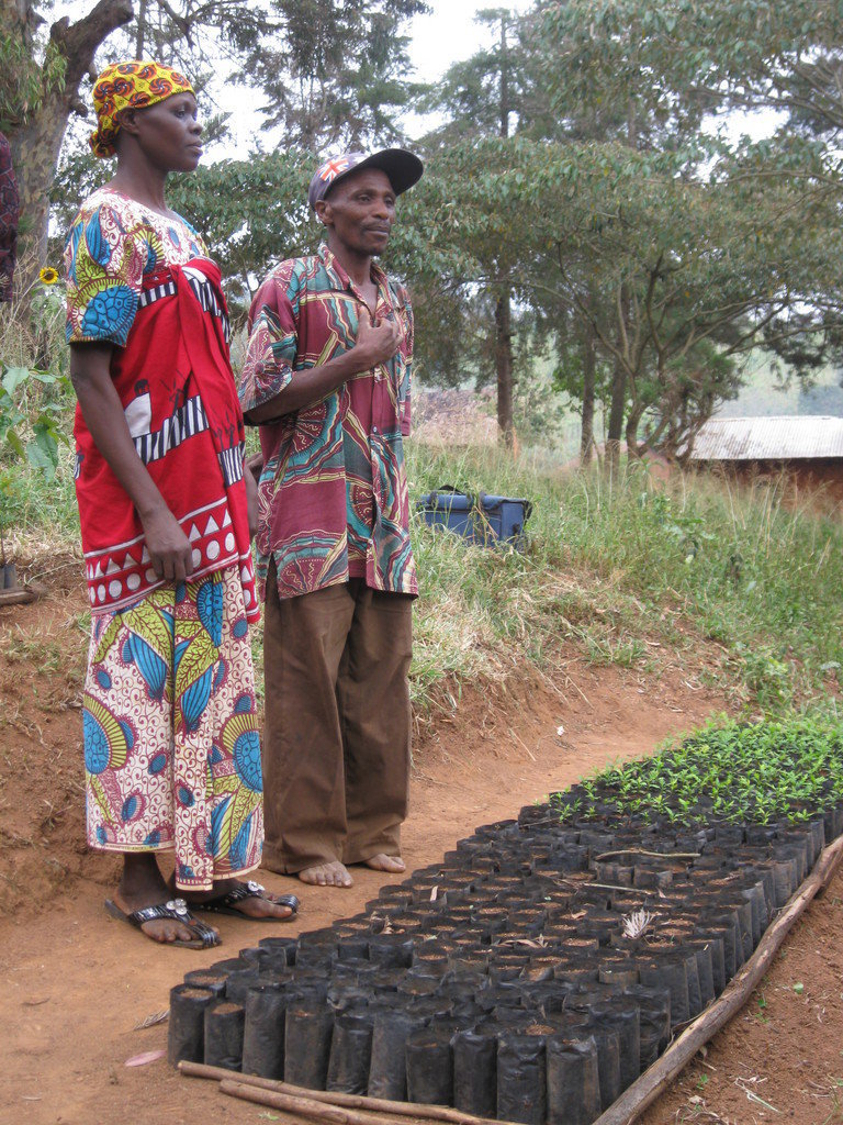 Conserving 250,000 Acres of Tanzanian Rainforest