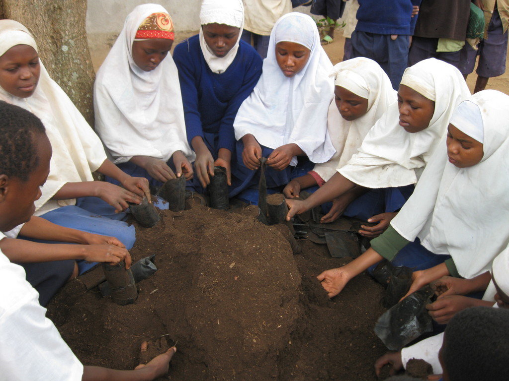 Conserving 250,000 Acres of Tanzanian Rainforest