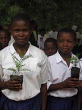 Investing in Future Generations
