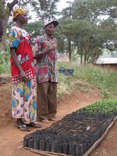 Community Tree Nursery