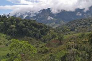 Tanzania's Eastern Arc rainforest
