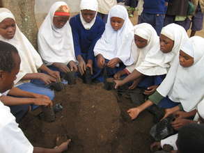 Environmental Education