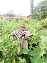 Child with Field Harvest