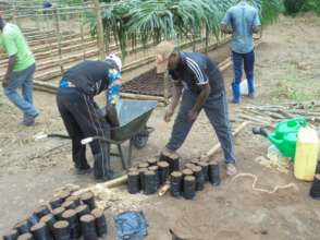 Filling pots with compost.