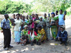 Indigenous fruit trees provided to local villagers