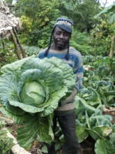 A happy Biakato Farmer with cabbage harvest