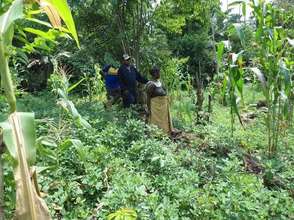 Monitoring Peanut-Corn-Cassava Field