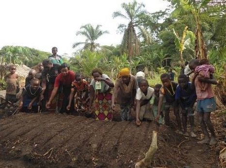 Planting seeds