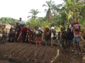 Planting seeds