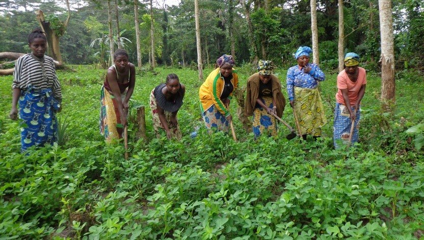 Planting in the Reserve