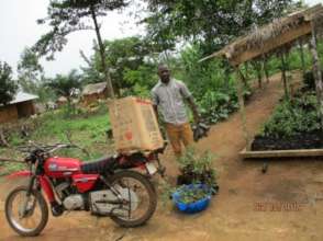 Seedlings distributed to farmers from nursery