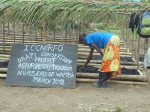 Wamba Nursery