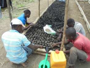 Sowing the first seeds at the Wamba Nursery