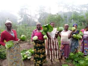 Women with cabbage harvest in Epulu.