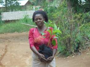 Nitrogen-fixing trees lengthen the life of soil