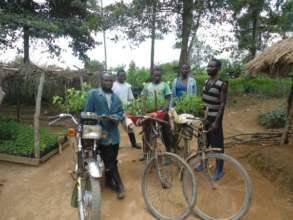 Transporting seedlings for reforestation