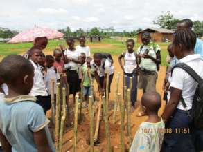 Planting trees to reforest school yard in Niania