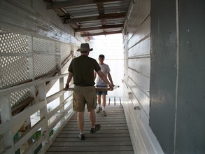 moving solar panels into safe storage (2)
