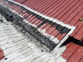 roofing section needing repair (BRE trip)