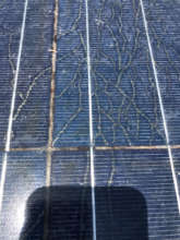 Close up showing deterioration in Phase 1 array