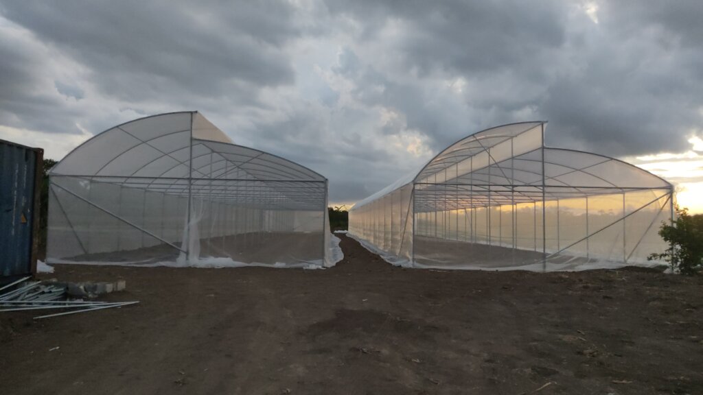 Constructed Greenhouses