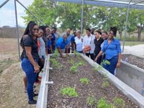 Handing over of Greenhouse