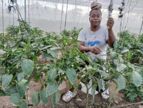 Image of Survivor working in our greenhouse