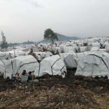Shelters After The Tarpaulin Distribution