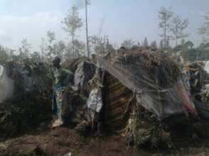 Shelters Before The Tarpaulin Distribution