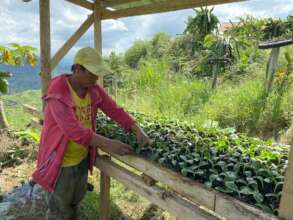 Continue with assistance