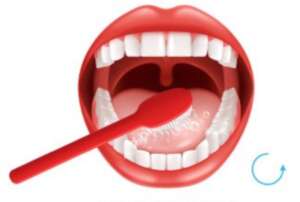 Diagram to show to Brush more than your teeth!