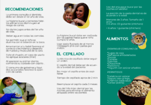 Dental Program Brochure - Back