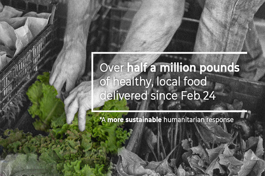 Solar panels for our refugee food bank