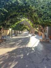 Calle Salvatierre Loreton Town Center