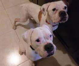Sisters