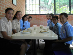 Alimentacion