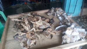 Some of the stockfish displayed on the table