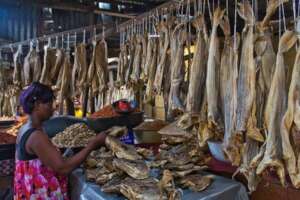 Help a Poor Girl to escape Hunger in Nigeria