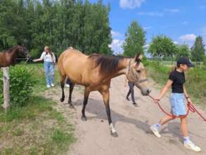 Horse therapy