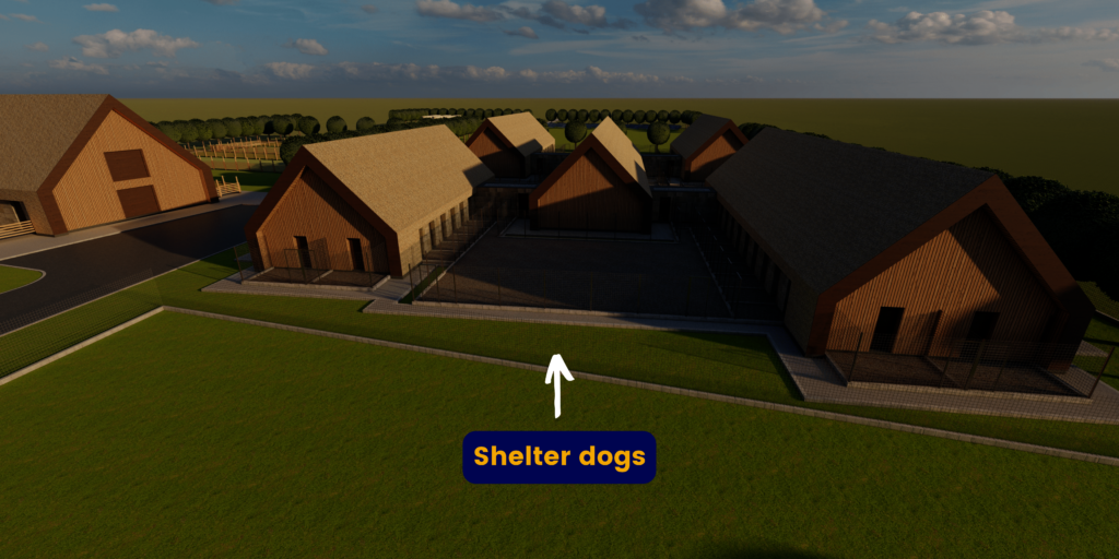 Help us build PawzUp first cage-free shelter